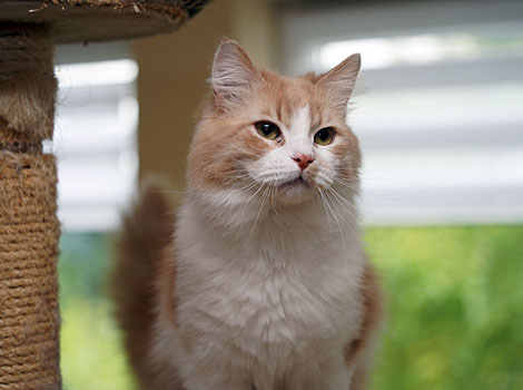 Hendrik am 29.05.2025